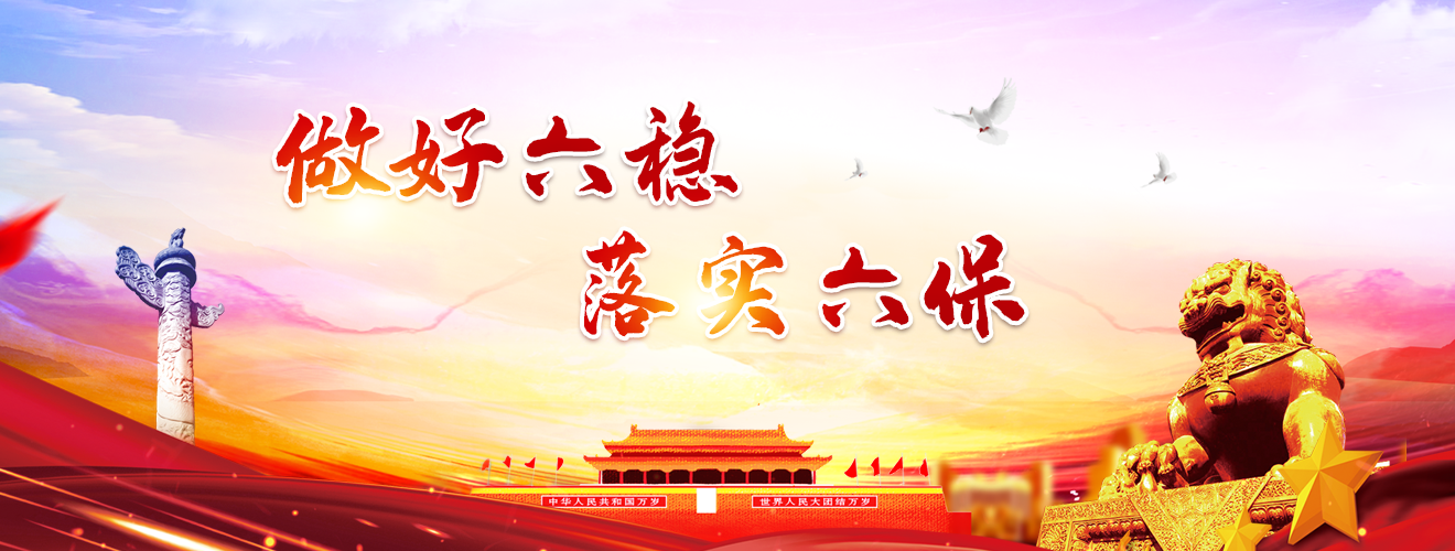 做好六稳落实六保